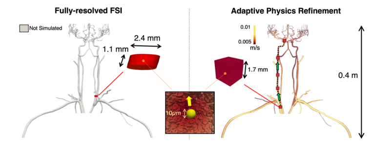 Comparison of two methods for simulating blood flow in a cerebral artery.