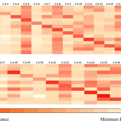 Heatmap showing coronary artery branch importance in 3D hemodynamic modeling.