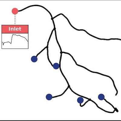 Vascular network diagram with inlet point and labeled nodes.