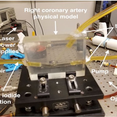 Setup for particle image velocimetry experiment with right coronary artery.