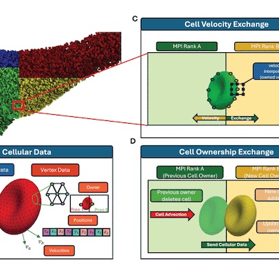 Overview of the communication tasks involved in distributed fluid-structure interaction computations.