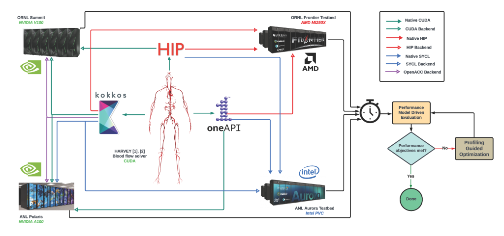 Diagram of multi-platform blood flow simulation using HIP, CUDA, and SYCL.