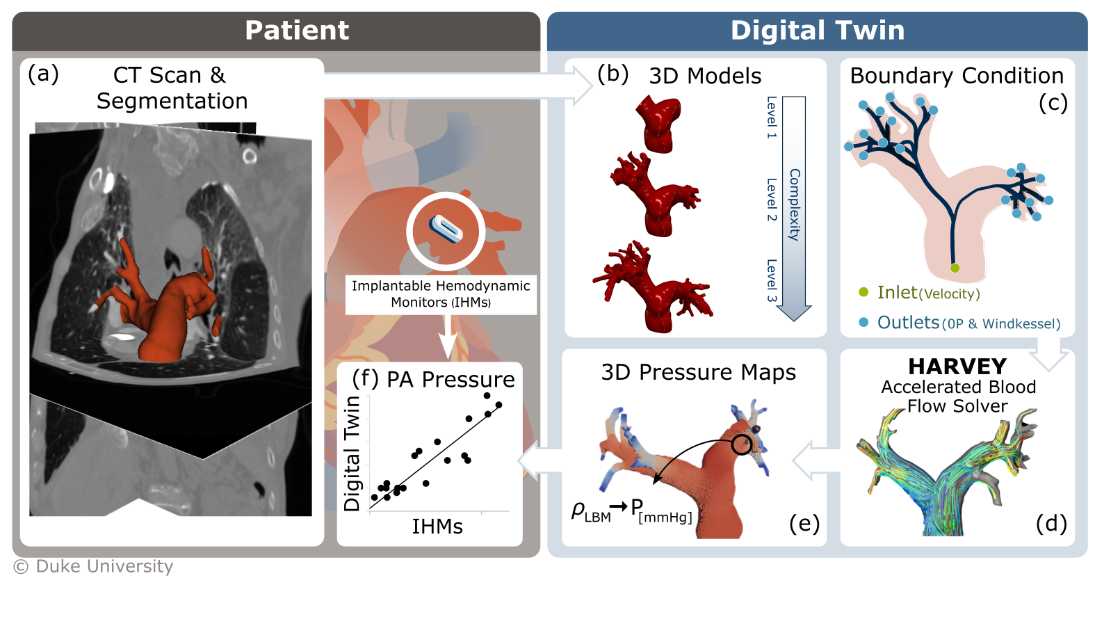 High-resolution (0.6 mm) CT angiograms of each patient’s pulmonary arterial anatomy