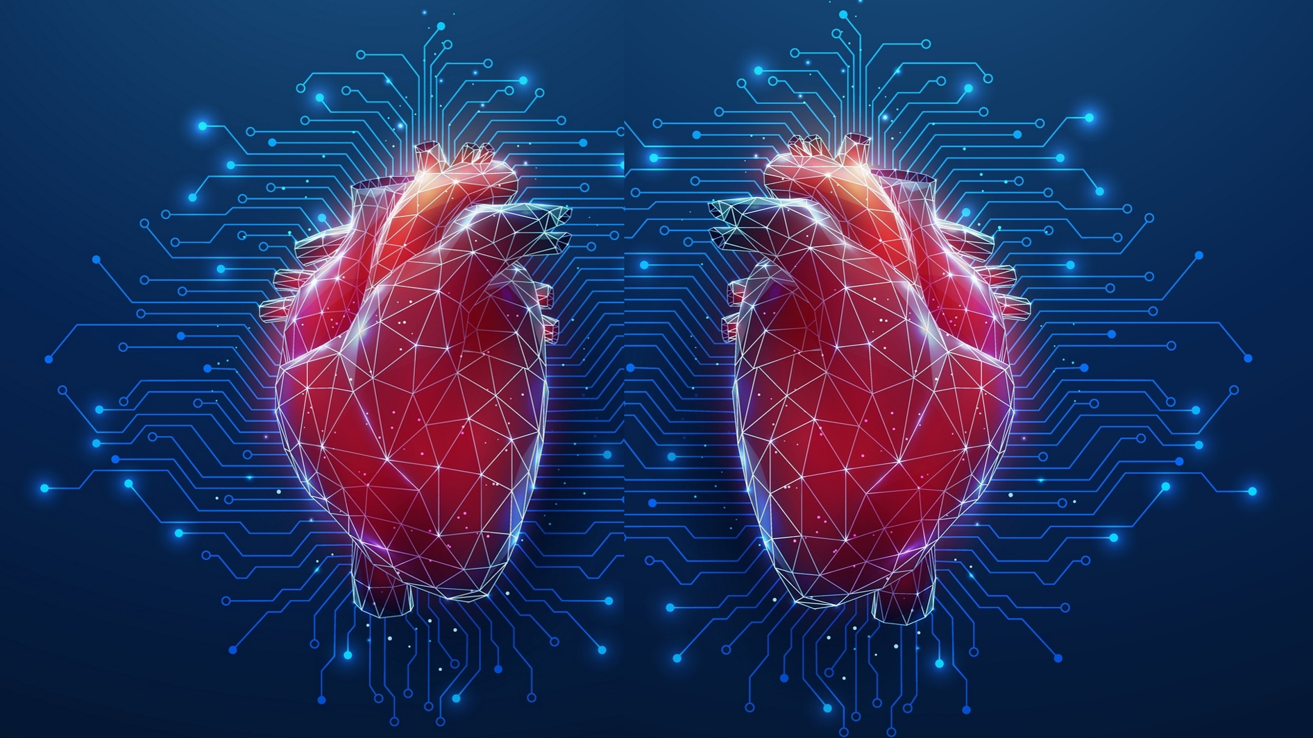 Let a Digital Twin Predict Your Heart’s Health